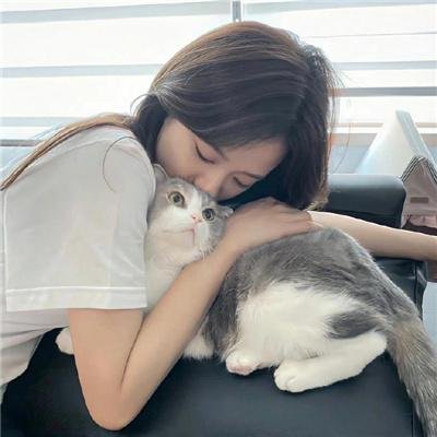 情归长安