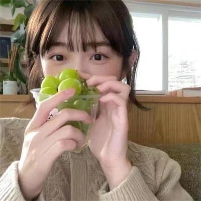 蓝兰岛漂流记